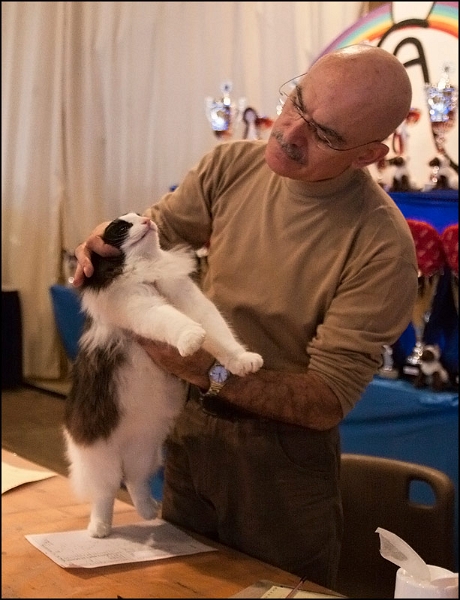 Ellboy du Soleil de Minuit 8.jpg - Ellboy du Soleil de Minuit